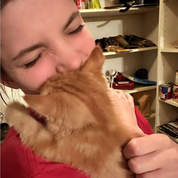 Meet your Posher, Sophie - Picture 2 of 3